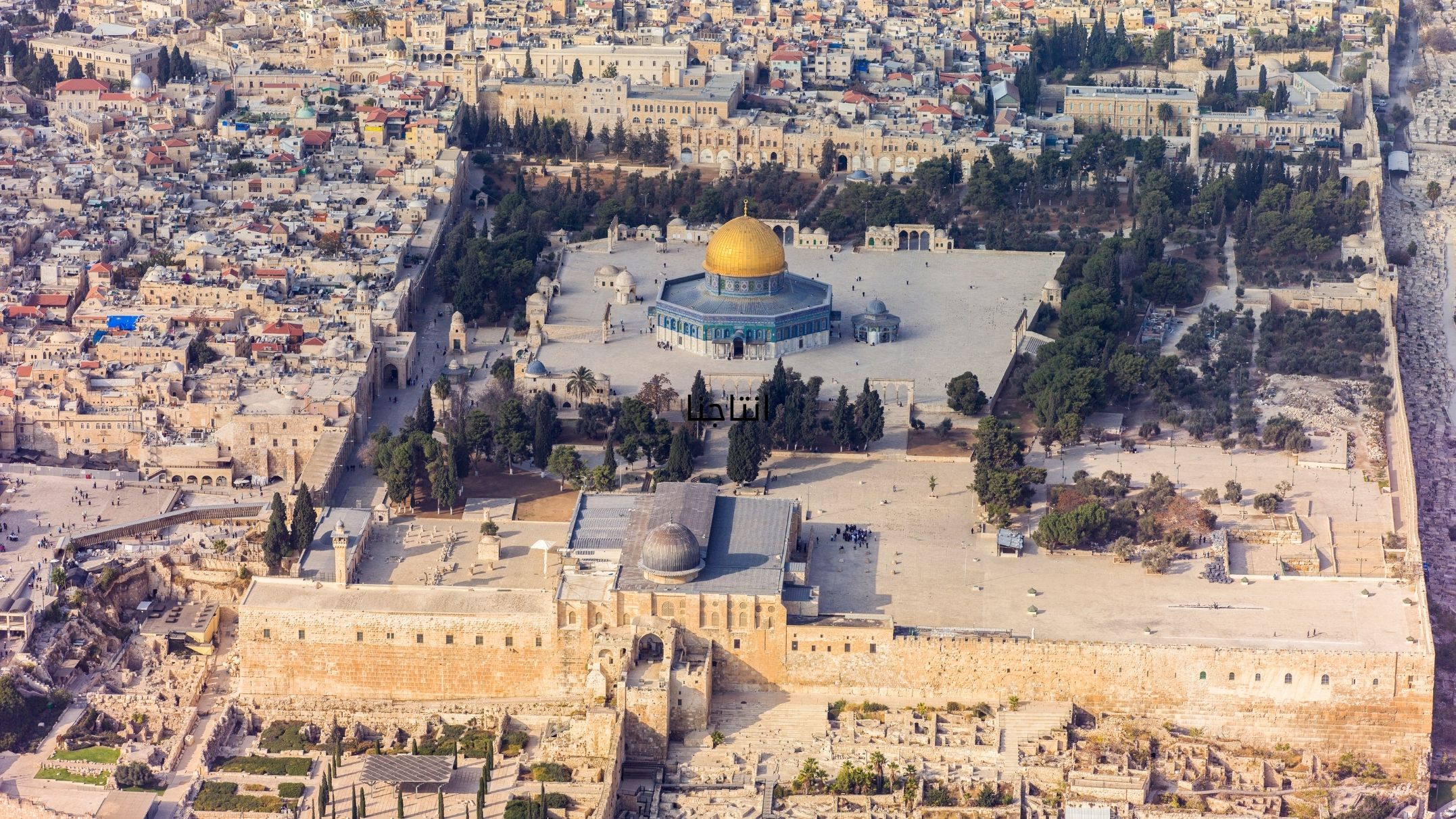Centered Image